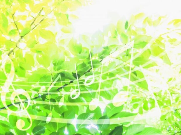 Maison Bが放つ圧倒的な存在感の物語と洗練されたダンスパフォーマンスの深層